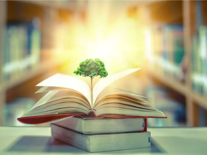 التعليم والتنمية المجتمعية